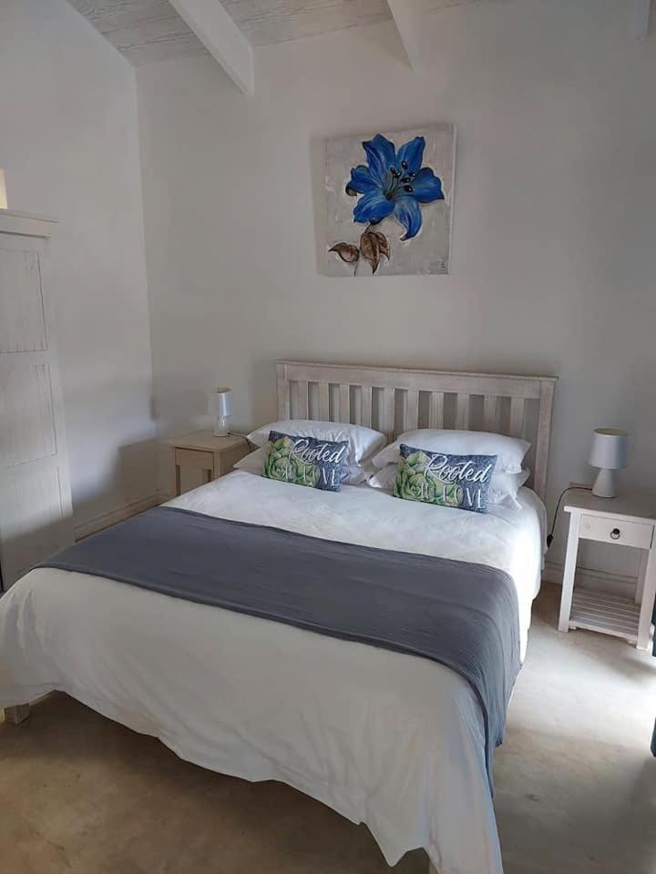 Osler Place Self-Catering Stilbaai Kültér fotó